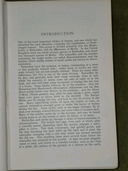 Butterflies & Moths of the United Kingdom Egmont Kirby First Edition Routledge 7