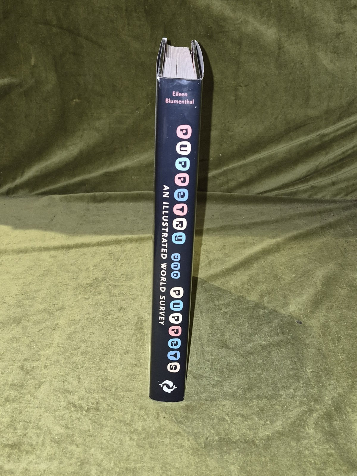 Puppetry and Puppets: An Illustrated World Survey by Eileen Blumenthal 2005 HCDJ2