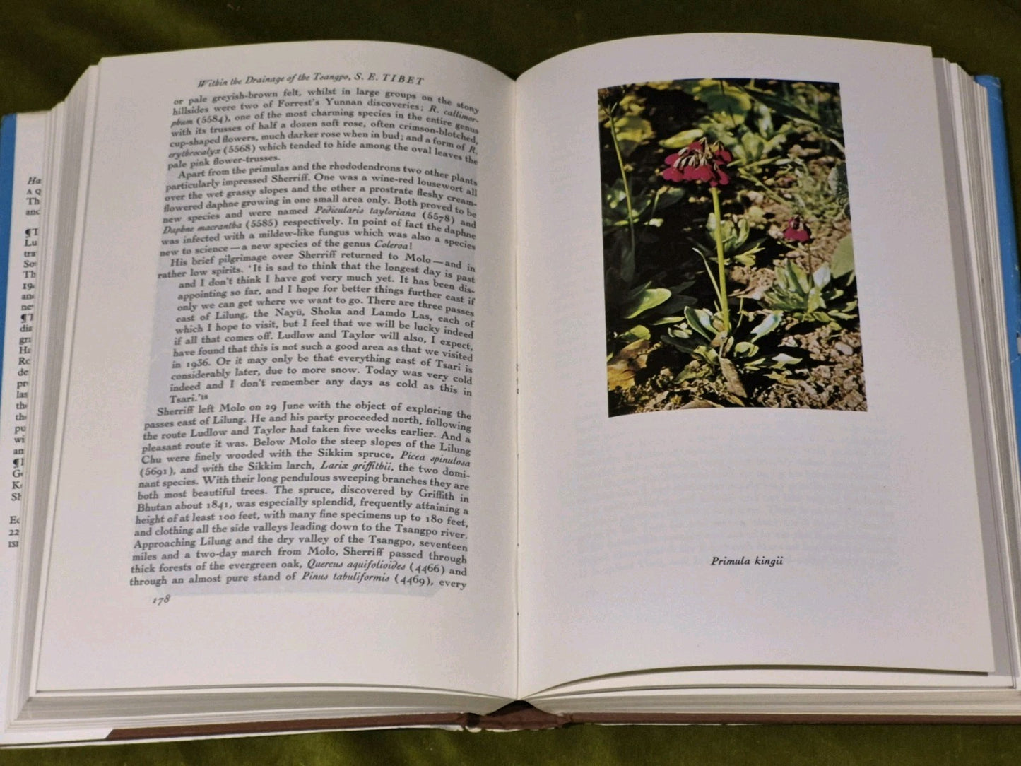A Quest of Flowers - Harold R Fletcher7