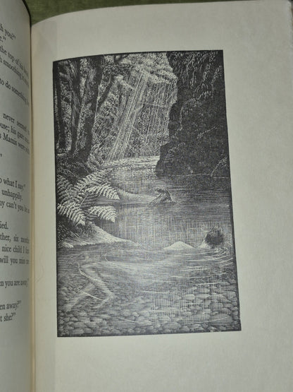 The Star Born Henry Williamson Tunnicliffe Wood Engravings First 19335