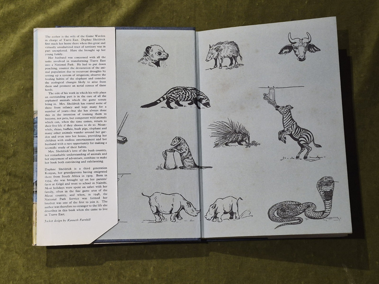 Daphne Sheldrick - The Orphans of Tsavo - 1966 Collins 1st Ed HB DJ3