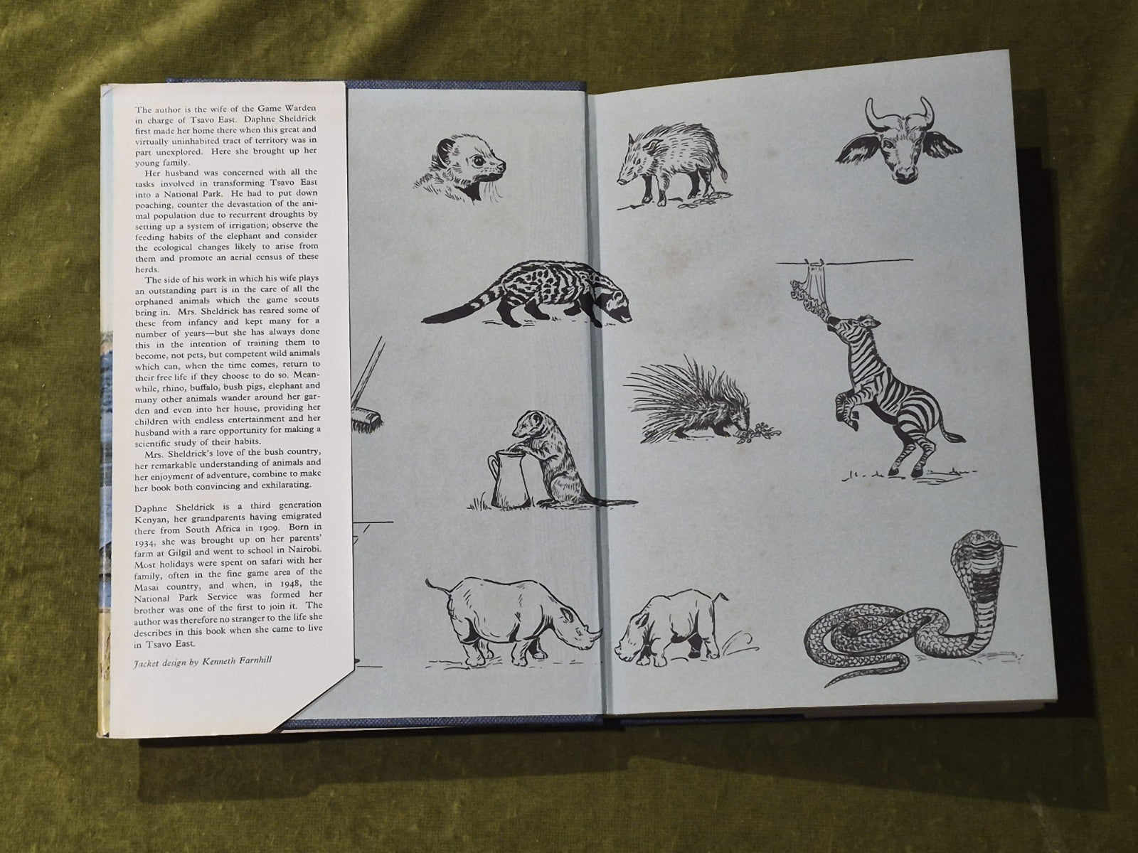 Daphne Sheldrick - The Orphans of Tsavo - 1966 Collins 1st Ed HB DJ3