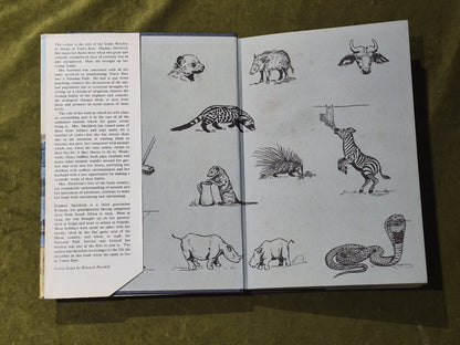 Daphne Sheldrick - The Orphans of Tsavo - 1966 Collins 1st Ed HB DJ3