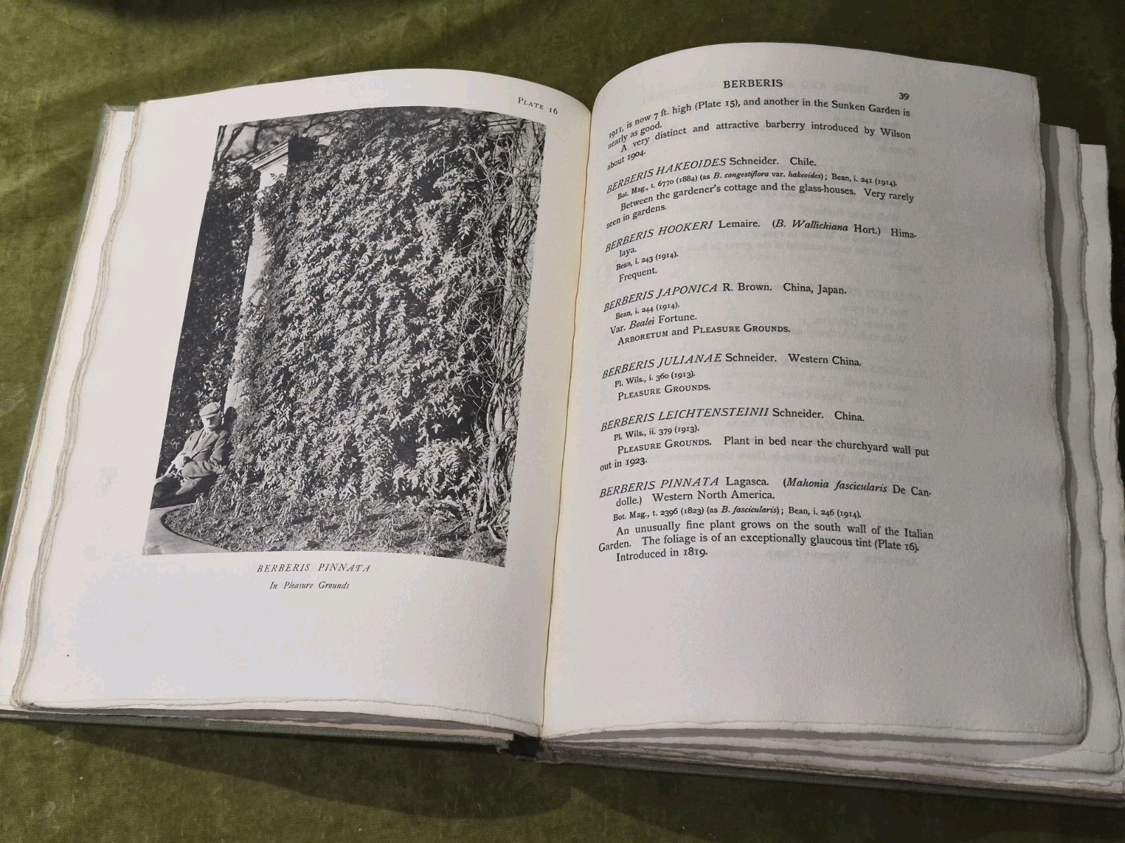Catalogue of the Trees and Shrubs At Westonbirt 1927 Oxford University Press6