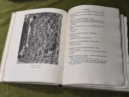 Catalogue of the Trees and Shrubs At Westonbirt 1927 Oxford University Press6