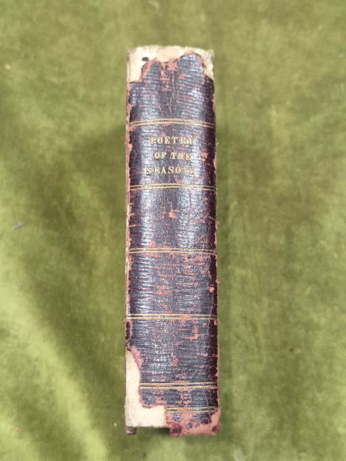 Poetry of the Seasons and the Kingdoms of Nature 1842 William Oliphant Edinburgh3