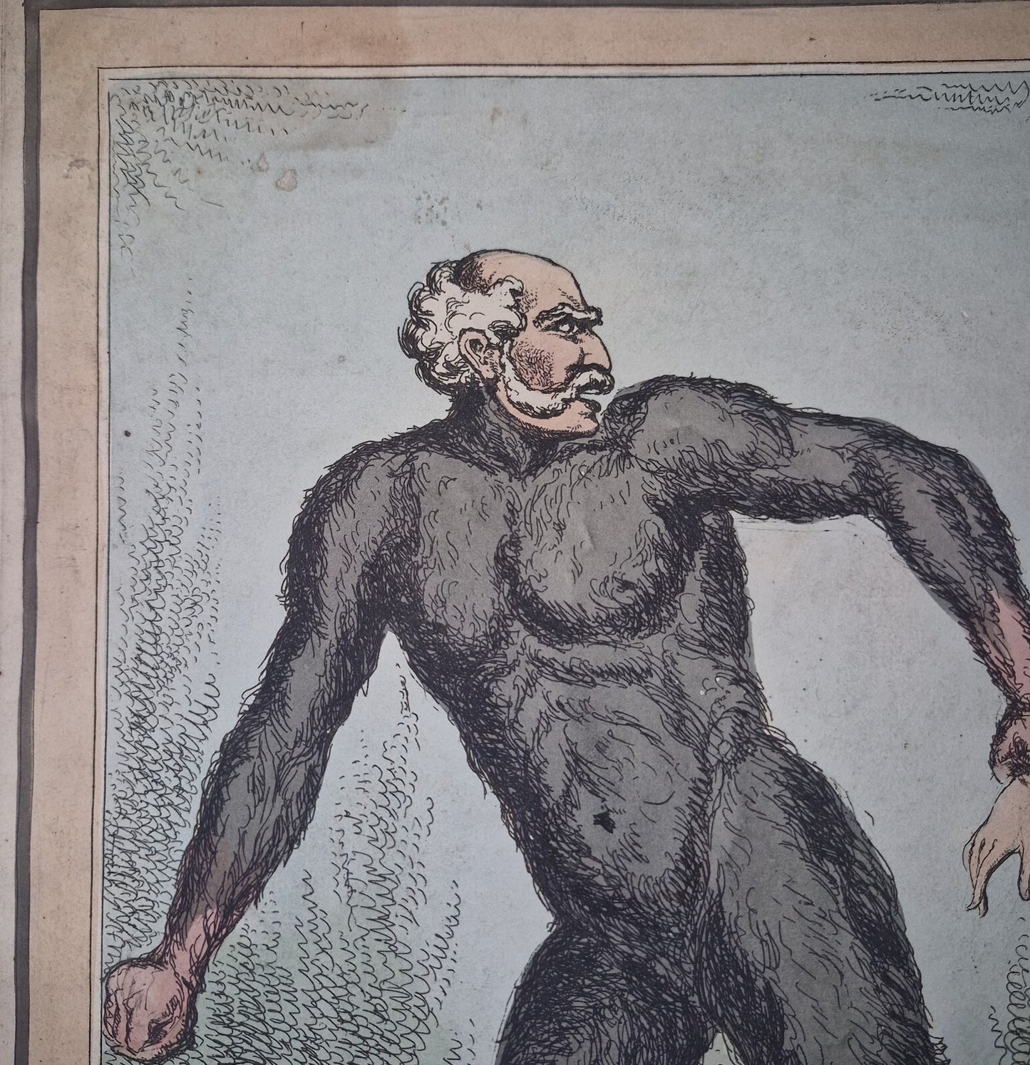 Antique Satirical Political Print. The Orang Outang  The Beast That Violates...1