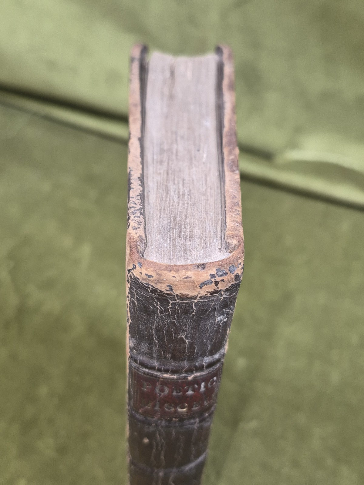 Poetical Miscellany Milton Dryden Pope Addison Gay Parnel James Williams 1774 2