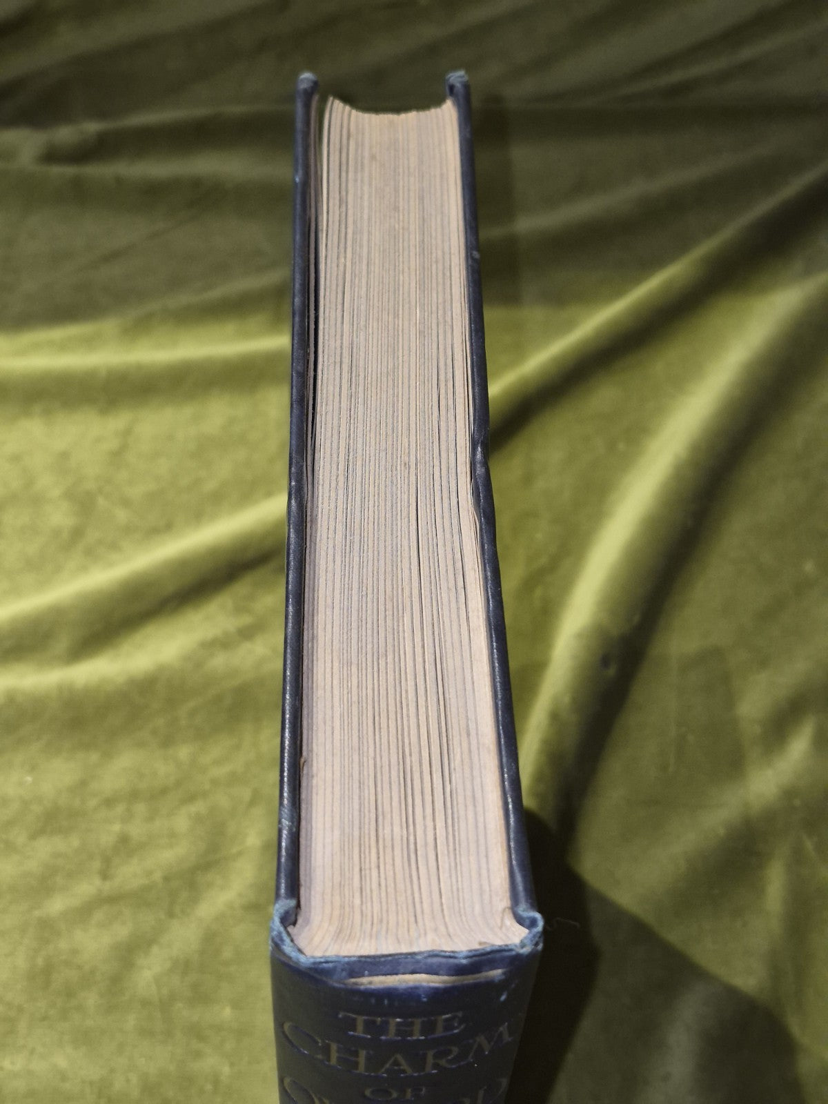 The Charm of Oxford (1920) J. Wells2