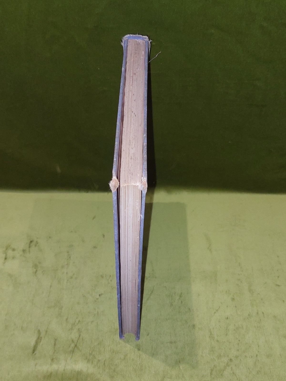 Kinship In South Australia By A P Elkin (1940) Australian Medical Publishing Hb1