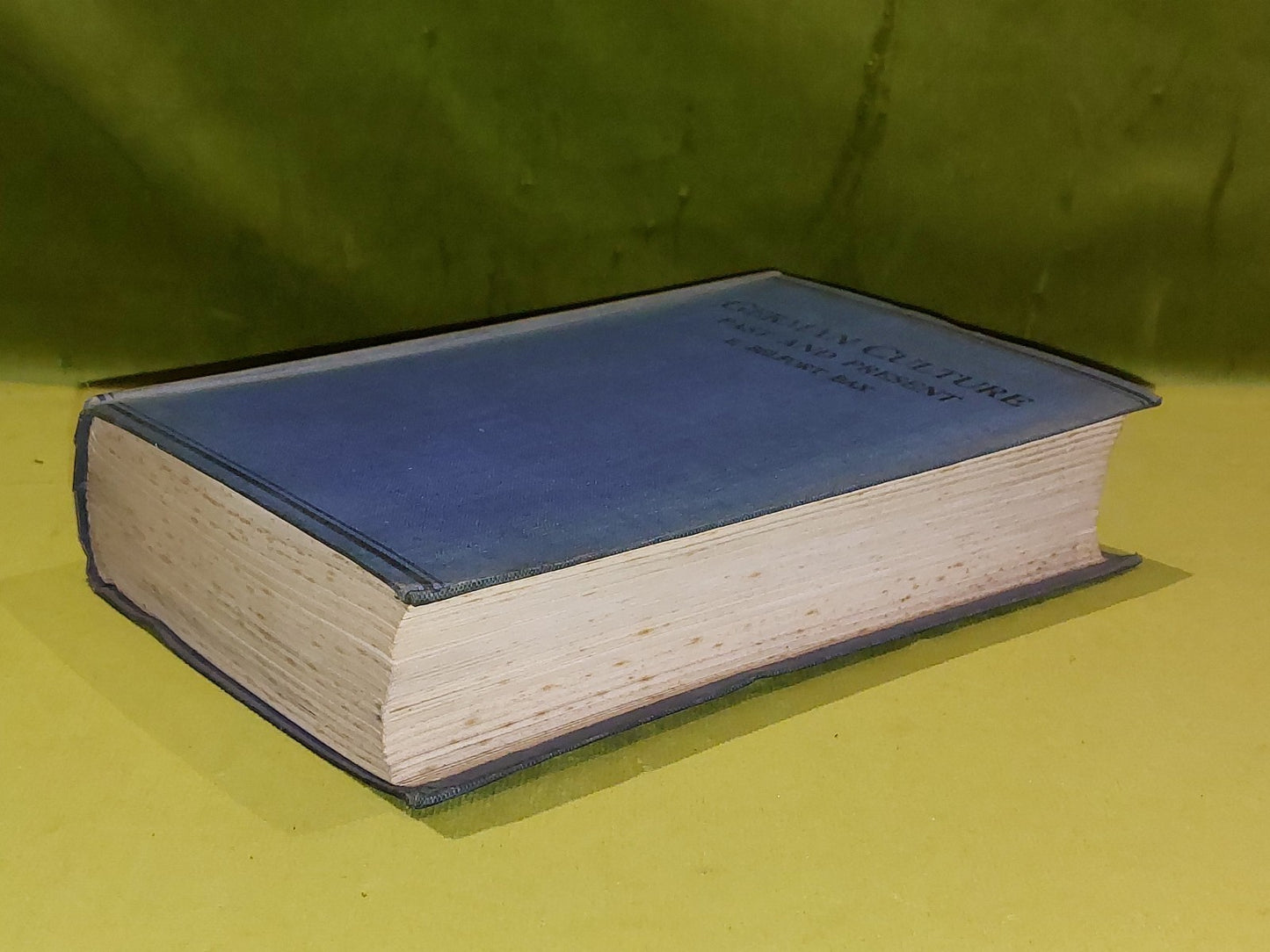 German Culture Past and Present by E Belfort Bax 1915 George Allen Unwin 1st Ed.6