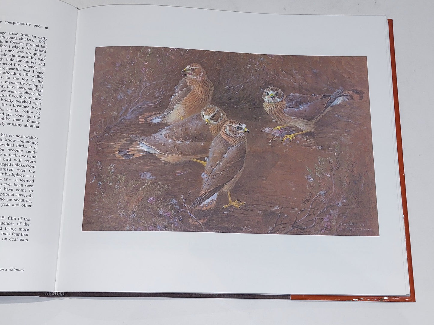 Donald Watson - One Pair of Eyes - Limited 188/1000 & Signed (1994) Hb with Dj8