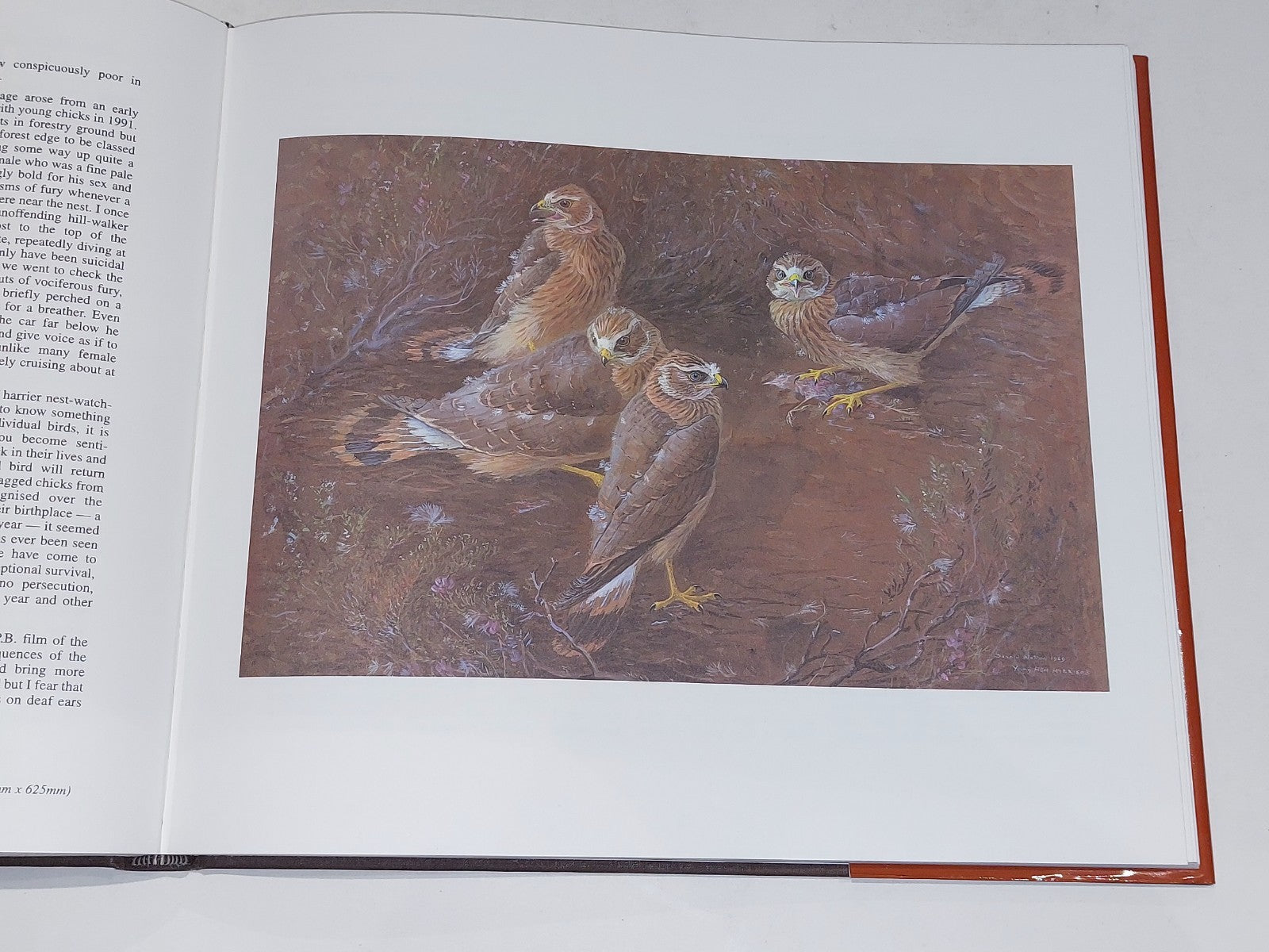 Donald Watson - One Pair of Eyes - Limited 188/1000 & Signed (1994) Hb with Dj8