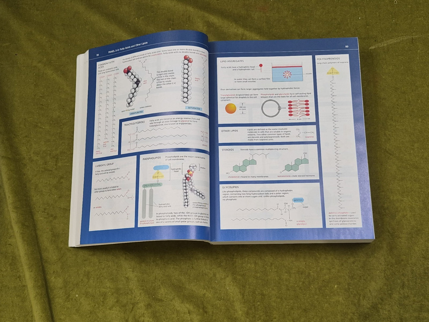 Molecular Biology of the Cell 6th E dition - Garland Science Textbook6