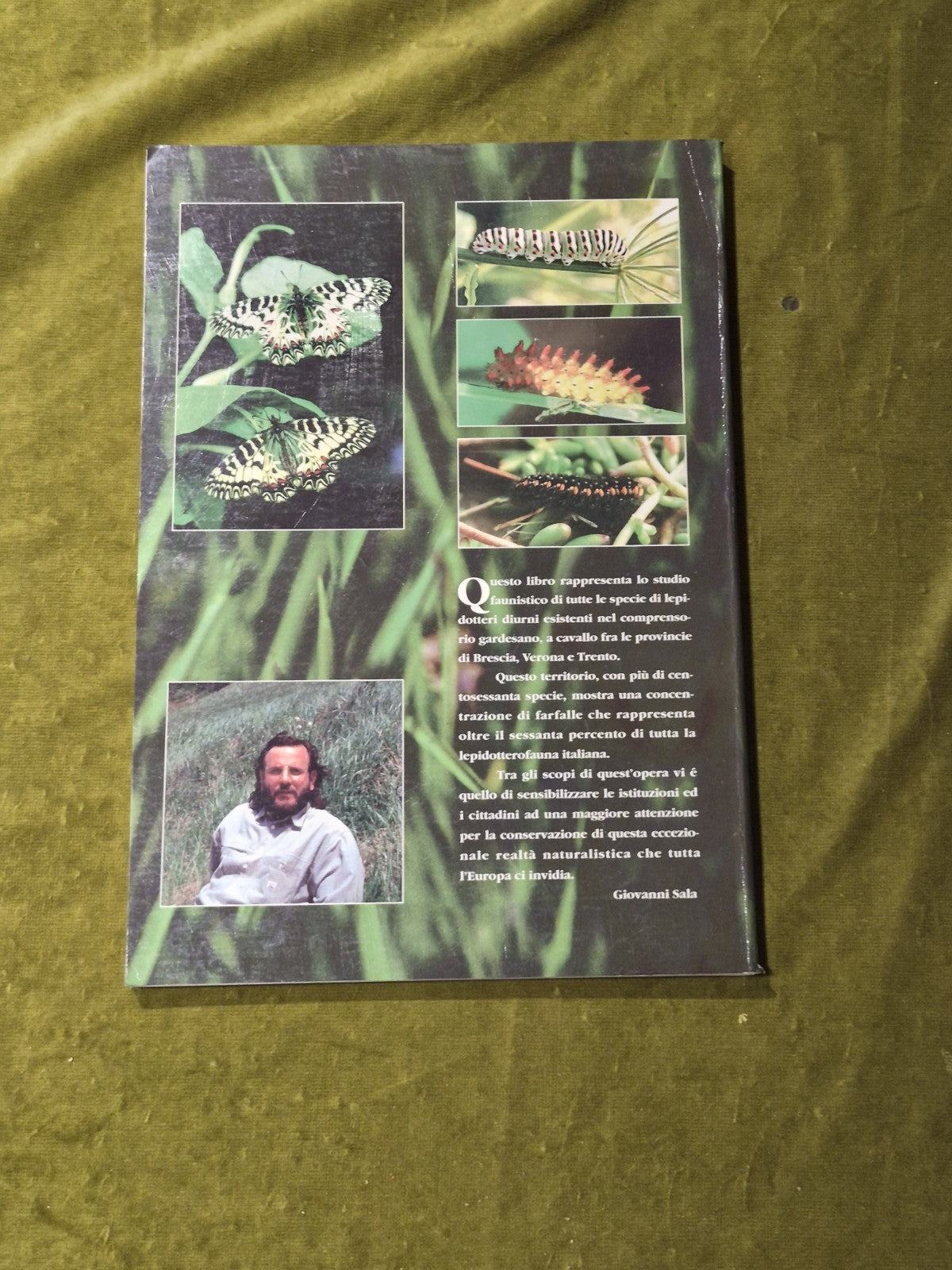 I Lepidotteri Diurni del Comprensorio Gardensano - Giovanni Sala1
