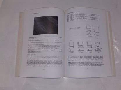Experimentation and Reconstruction in Environmental Archaeology, Robinson (2017)3