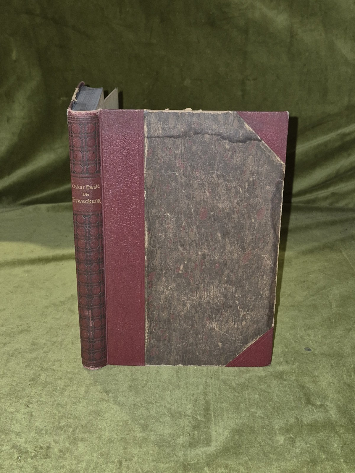 Die Erweckung Selbsterkenntnis Und Weltgestaltung - Oskar Ewald Hofmann 1922 1st0