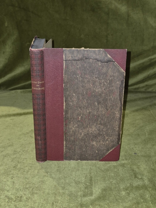 Die Erweckung Selbsterkenntnis Und Weltgestaltung - Oskar Ewald Hofmann 1922 1st0