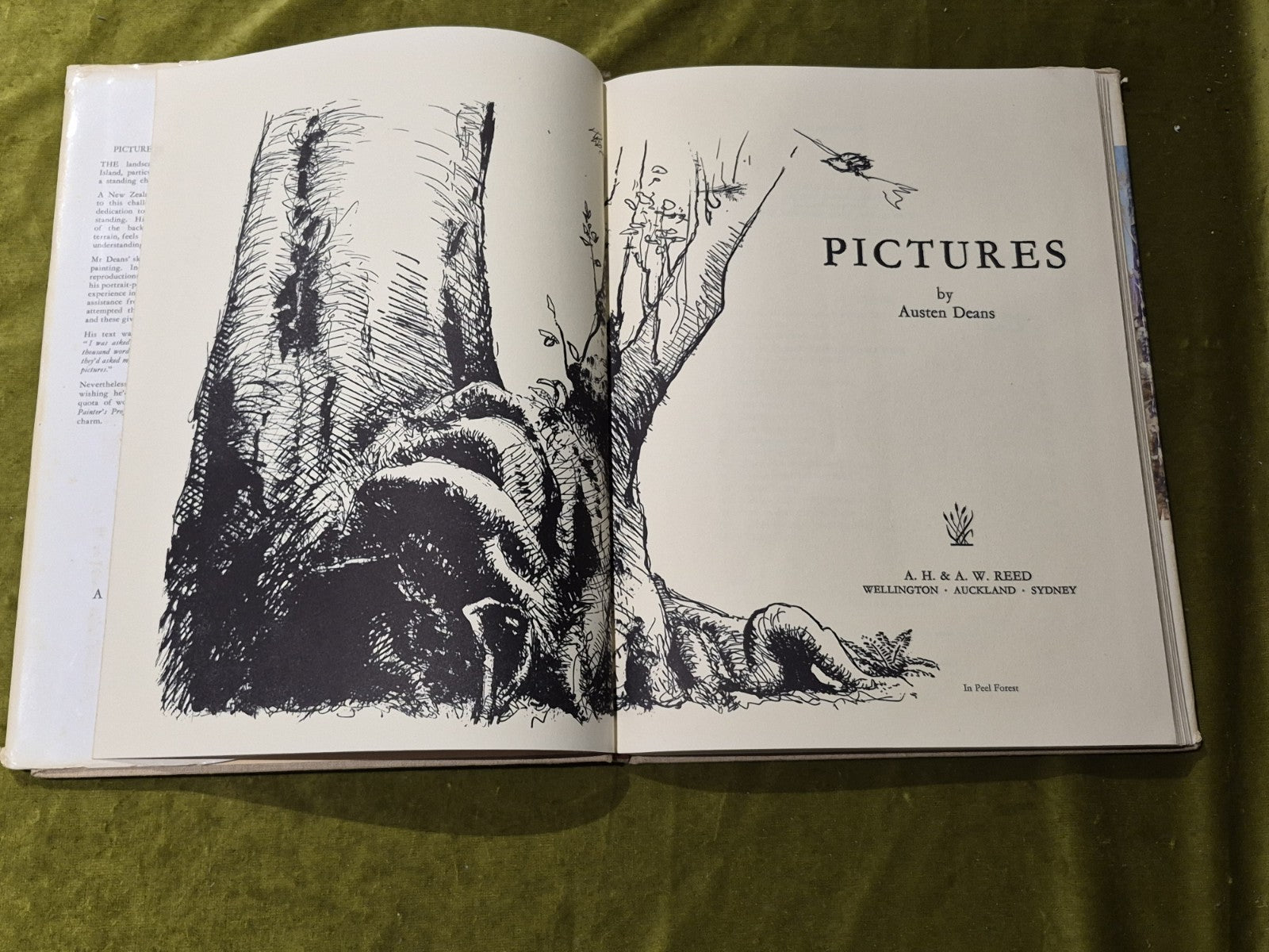 Pictures By Austen Deans - Austen Deans - 1967T - A. H.& A. W. Reed2