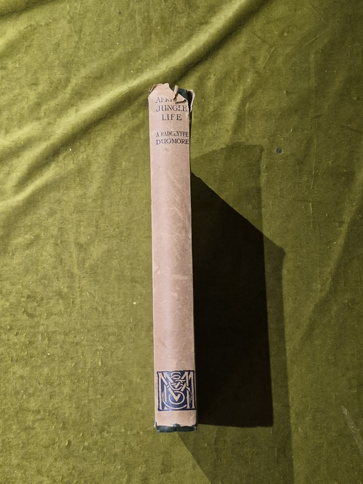 African Jungle Life - Major A. Radclyffe Dugmore - 1928 Macmillan DJ2