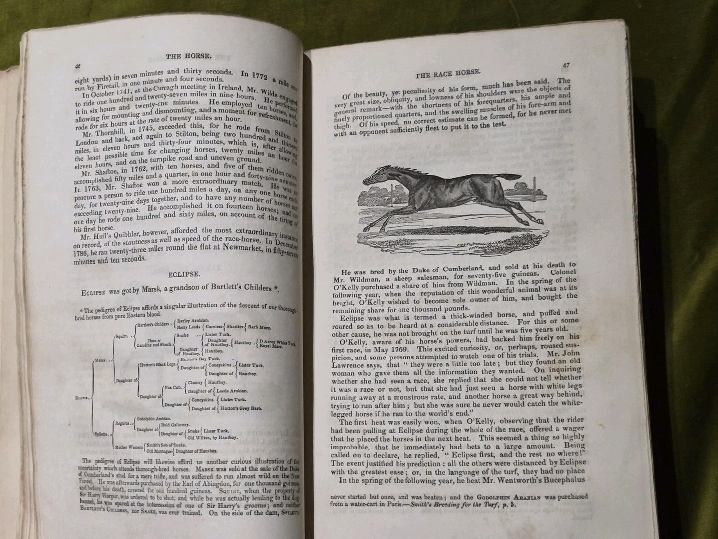 Library of Useful Knowledge: The Horse with a Treatise on Draught 18376