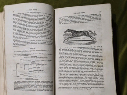Library of Useful Knowledge: The Horse with a Treatise on Draught 18376