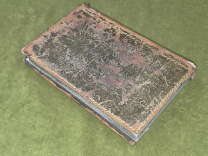 The Poetical Works of Dr Thomas Parnell Containing those Published by Mr Pope3