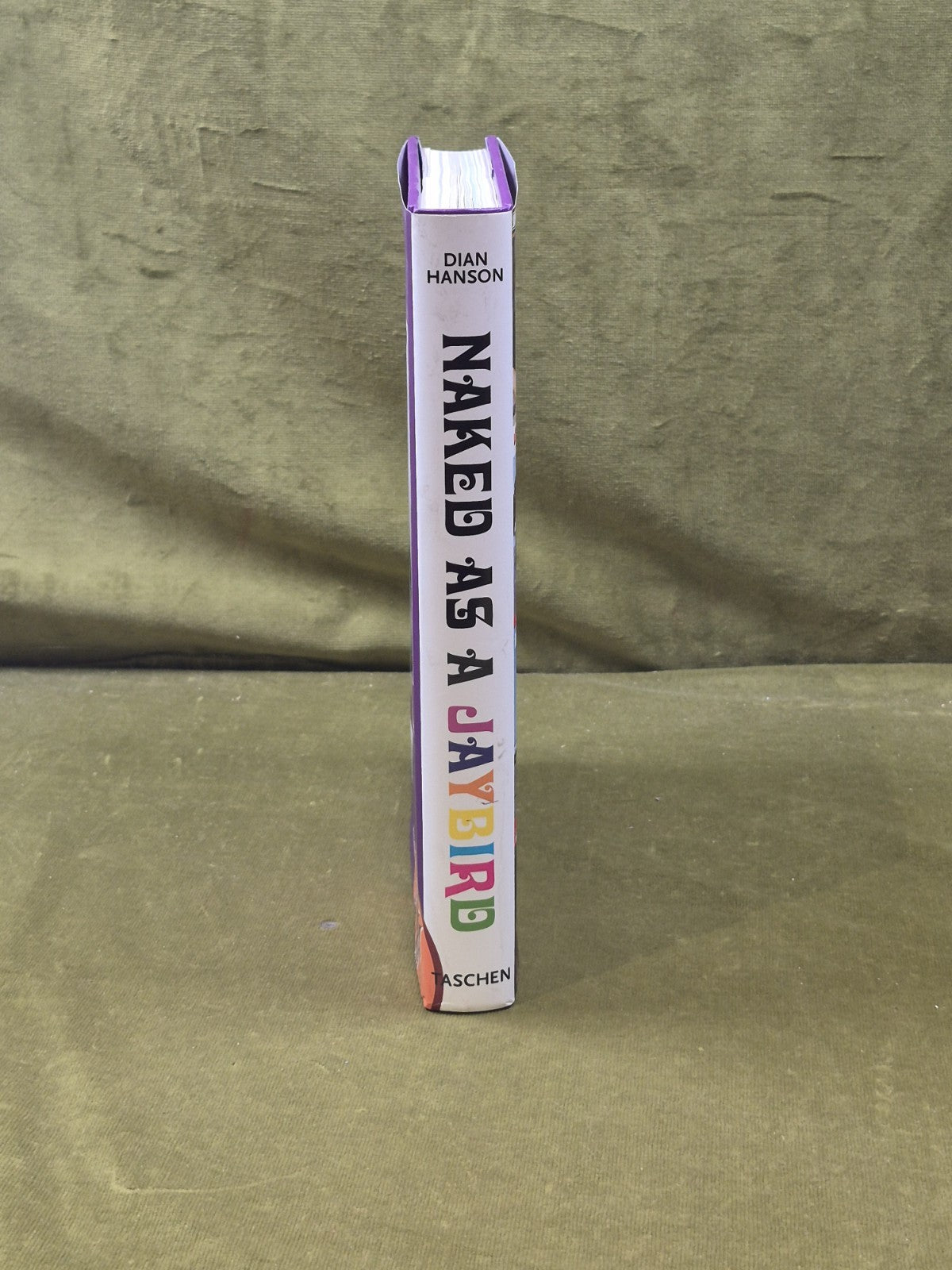 Dian Hanson Presents: Naked as a Jaybird (TASCHEN, 2002) - Complete w/ Stickers2