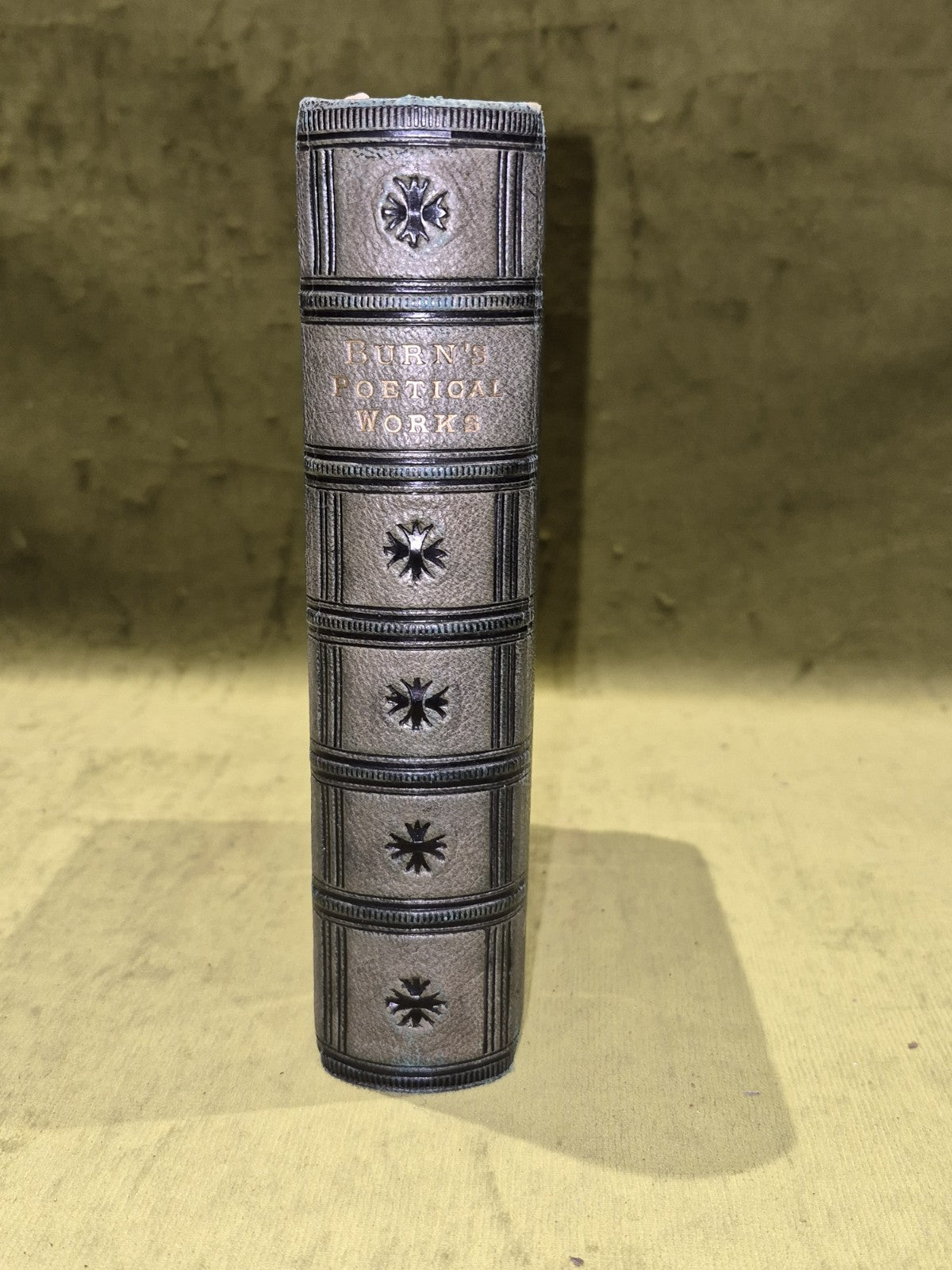 Robert Burns - The Complete Poetical Works - William Nimmo 1874 Fine Binding3