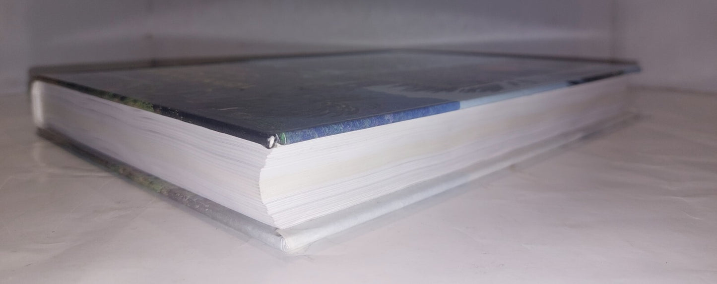 Plantas medicinales o utiles de laflora canaria, Hernadez Perez (2000) Book3