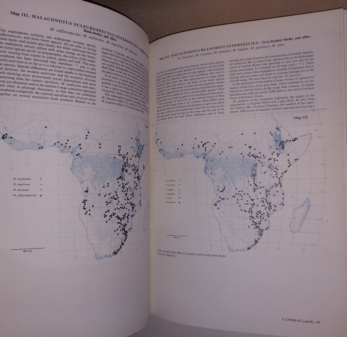 An Atlas of Speciation in African Passerine Birds - Hall & Moreau 1970 HB-DJ10
