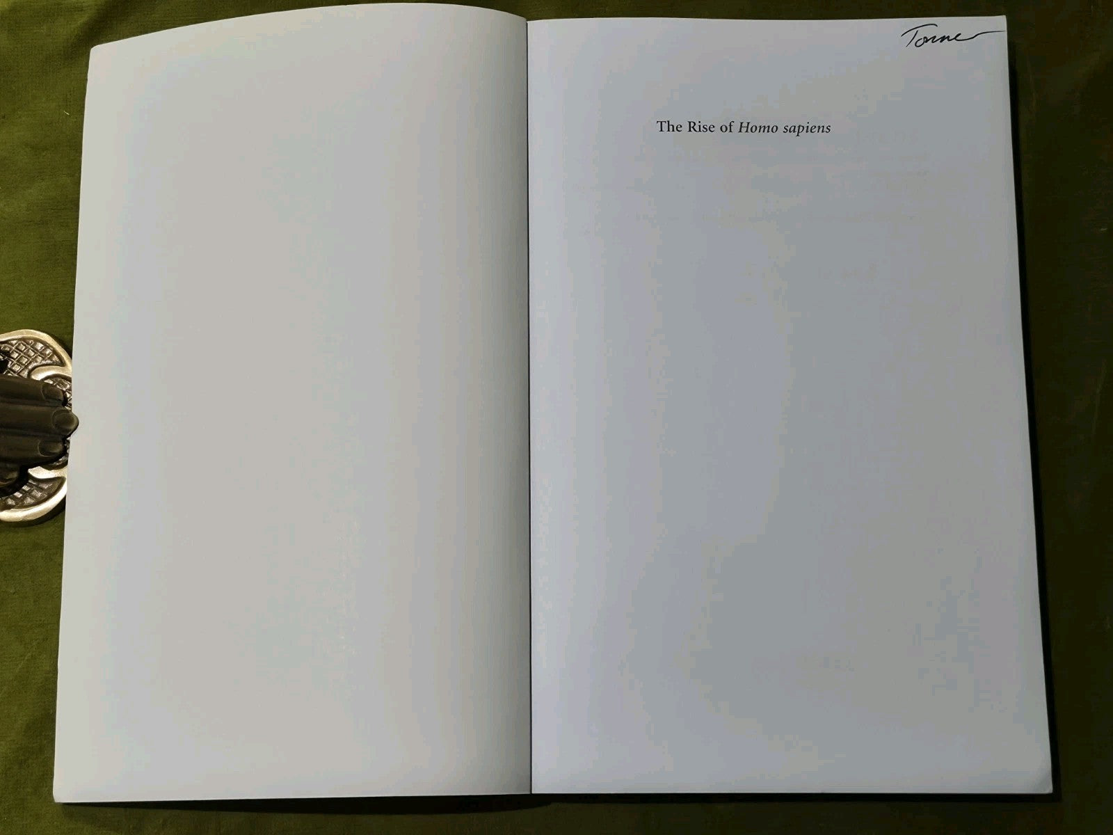 Rise of Homo Sapiens: the Evolution of Modern Thinking by Coolidge and Wynn3