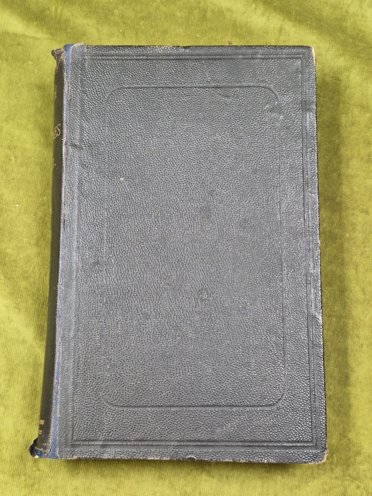 Fish and Fisheries a selection Prize Essays 1883 David Herbert2