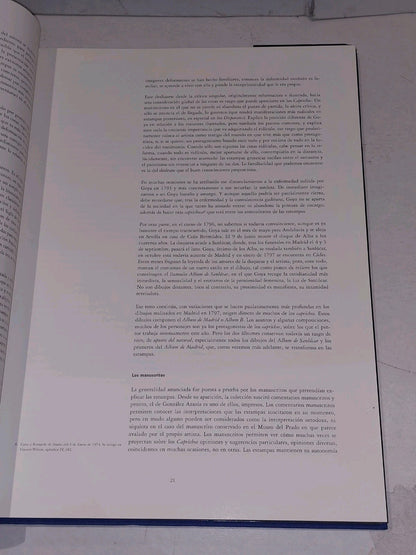 francisco de goya  grabador  instantaneas  caprichos (1992) madrid hb book5