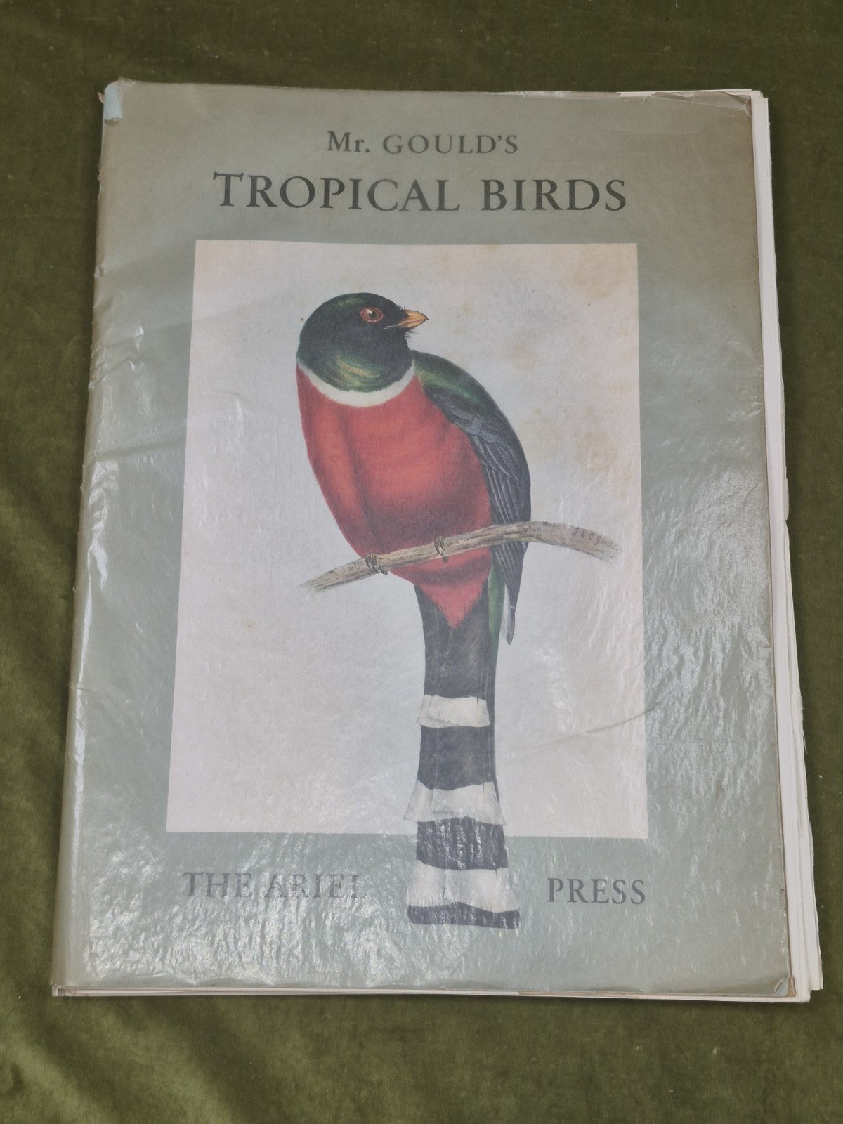 Mr. Gould's Tropical Birds, 24 Exquisite Colour Plates, edited by Eva Mannering0