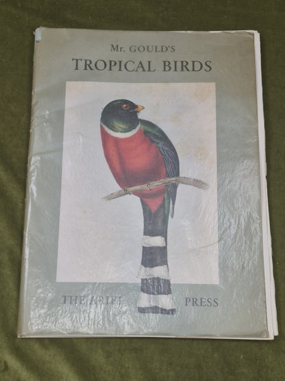 Mr. Gould's Tropical Birds, 24 Exquisite Colour Plates, edited by Eva Mannering0