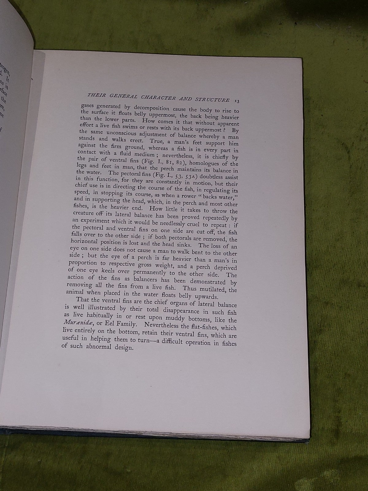 British FreshWater Fishes by Sir Herbert Maxwell (1904) [Hutchinson & Co] Hb3
