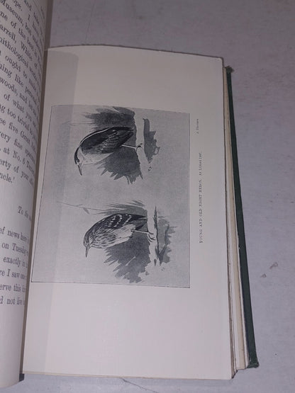 Lord Lilford - Thomas Littleton, Fourth Baron (1900) Smith, Elder & Co Hb Book8