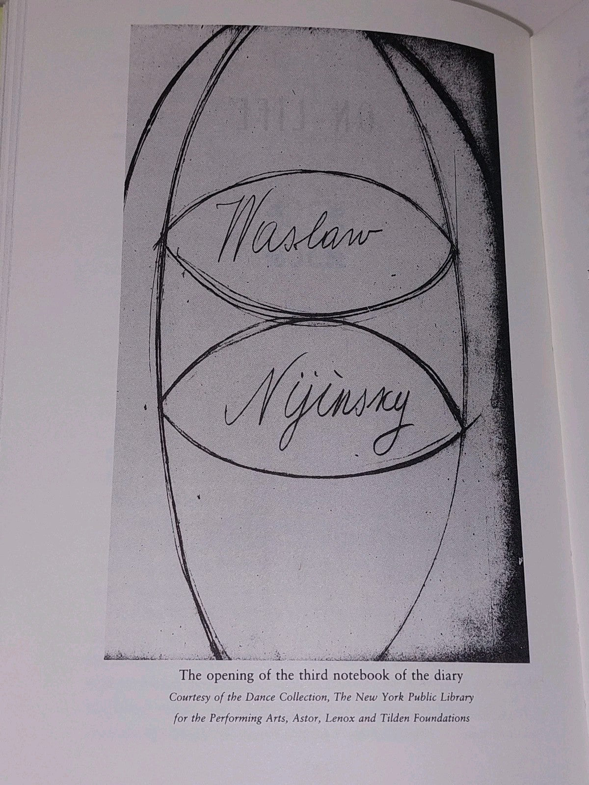The Diary of Vaslav Nijinsky: Unexpurgated Edition by Nijinsky, Vaslav (2000) 6