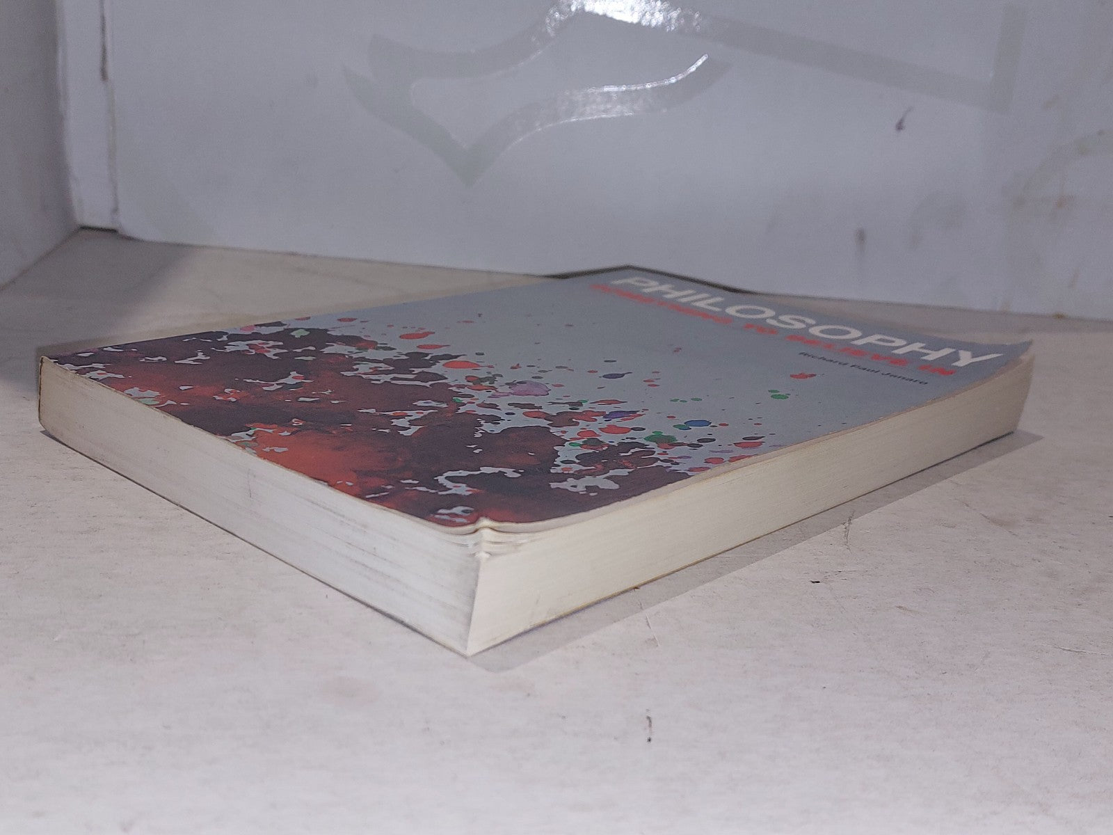 PHILOSOPHY Something to Believe In By Richard Paul Janaro, First Edition, 19754