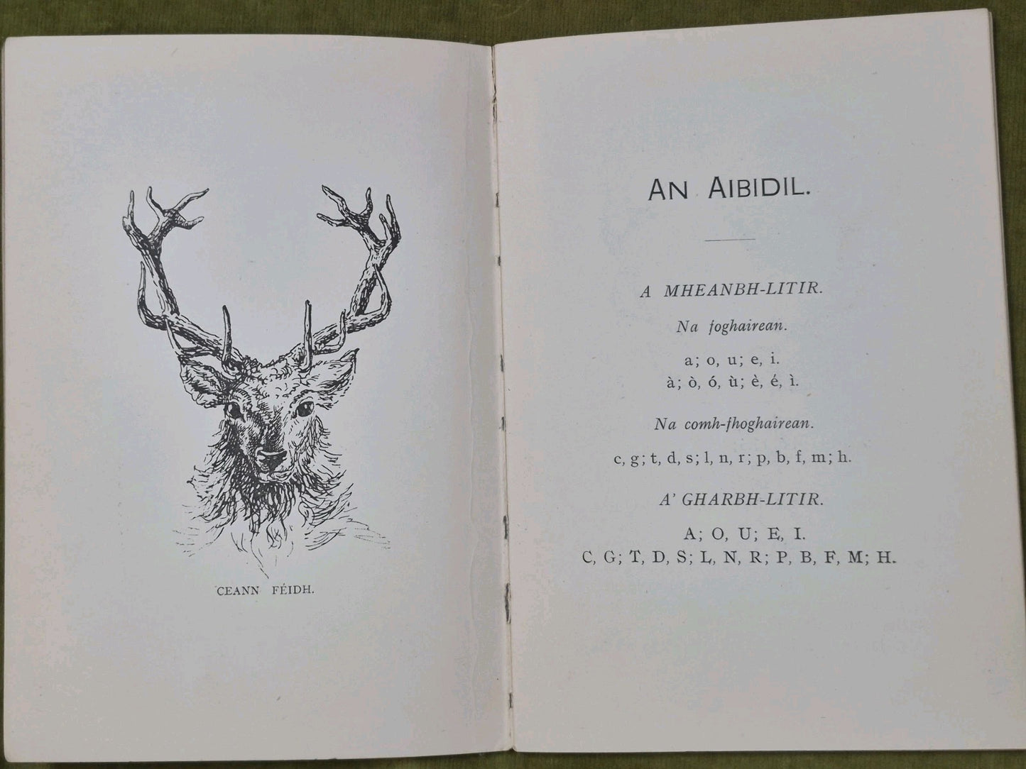 An Treoraiche Leabhran Sgoil Air Son Na Cloinne -  Calum MacPharlain 4