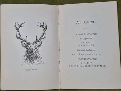 An Treoraiche Leabhran Sgoil Air Son Na Cloinne -  Calum MacPharlain 4