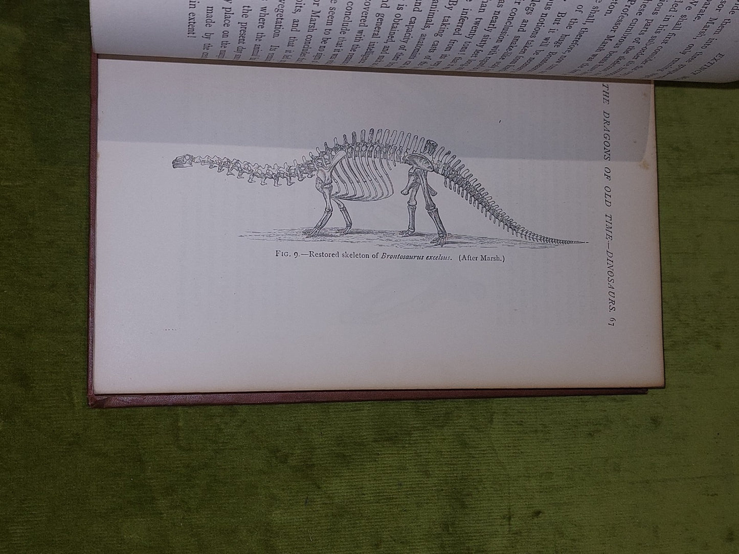 Extinct Monsters  Rev H N Hutchinson (1897) [Chapman & Hall] 5th Ed Hb Book7