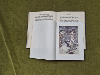 The Allies' Fairy Book by Edmund Gosse, Illustrated by Arthur Rackham -Macmillan6