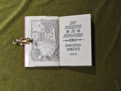 In Youth is Pleasure - Denton Welch , Vision 1958 reprint HB DJ4