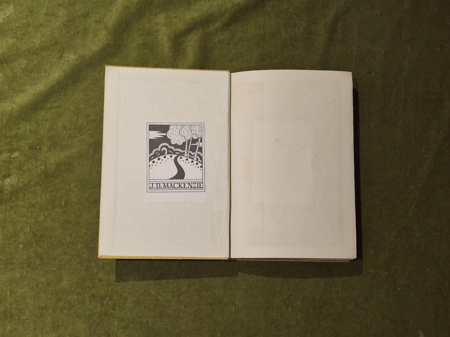 THE FLYING WASP: Essays on the Modern Theatre - Sean O'Casey , Macmillan 1937 HB3