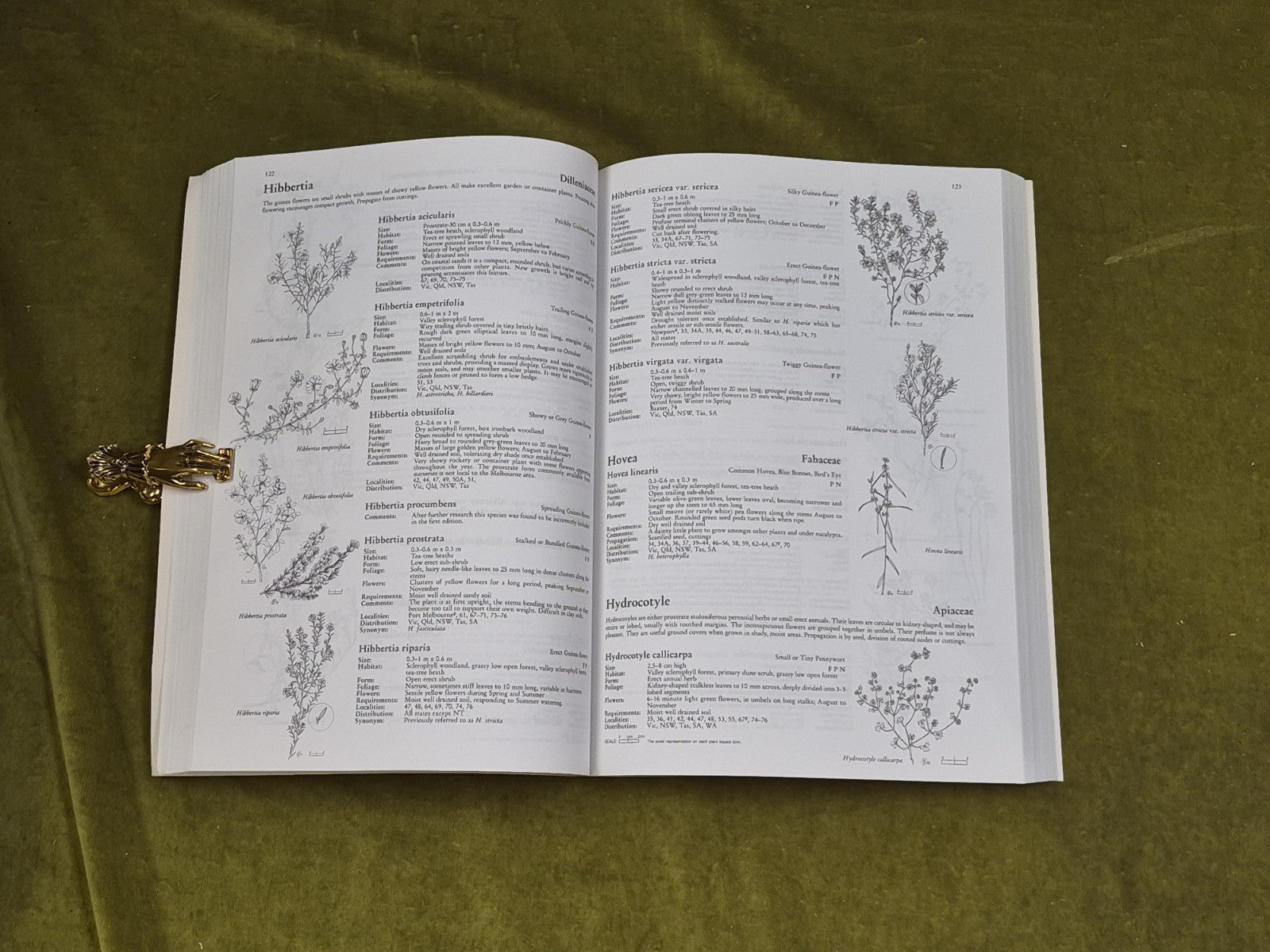 2001 Flora of Melbourne A Guide to the Indigenous Plants 3rd Ed - Hyland Press5