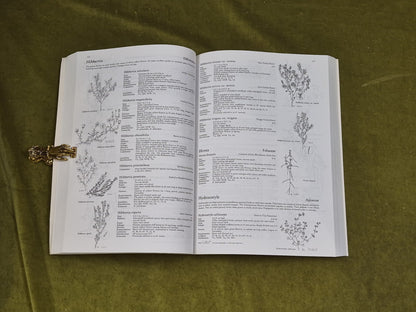 2001 Flora of Melbourne A Guide to the Indigenous Plants 3rd Ed - Hyland Press5