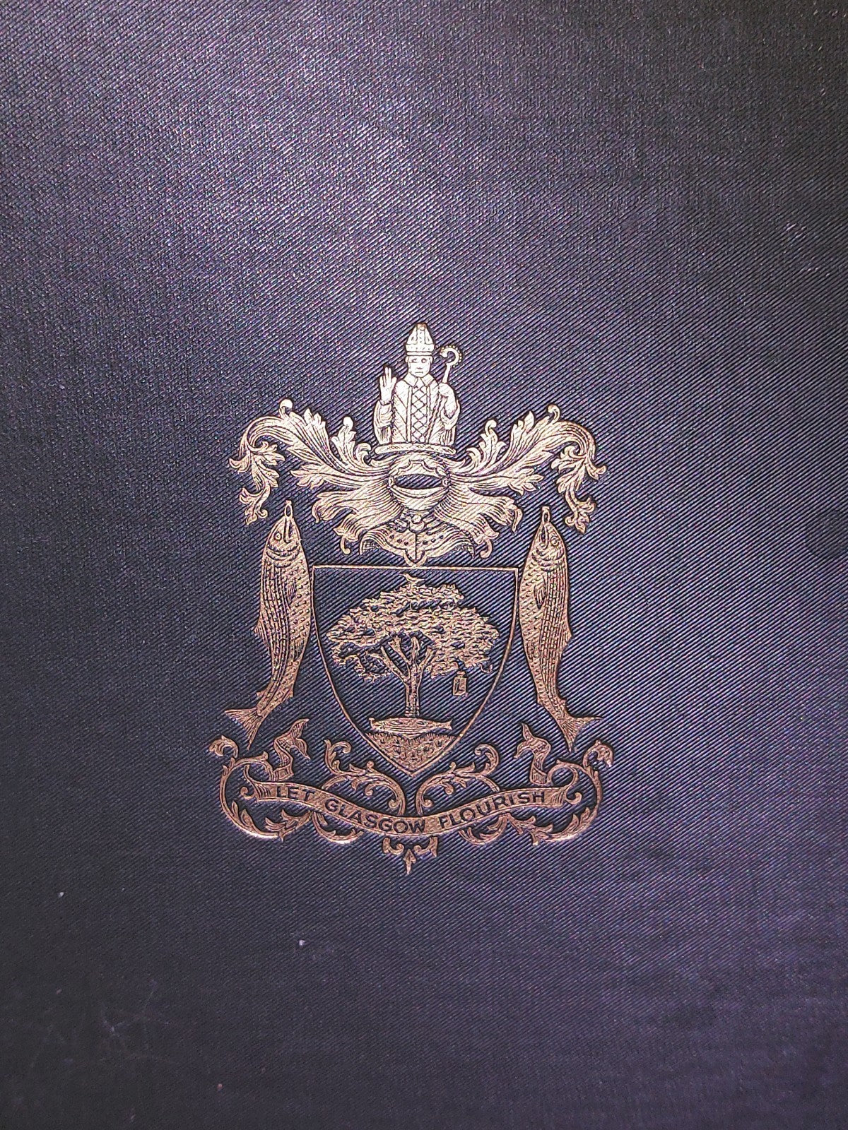 Municipal Glasgow its Evolution and Enterprises (1914) Stevenson1