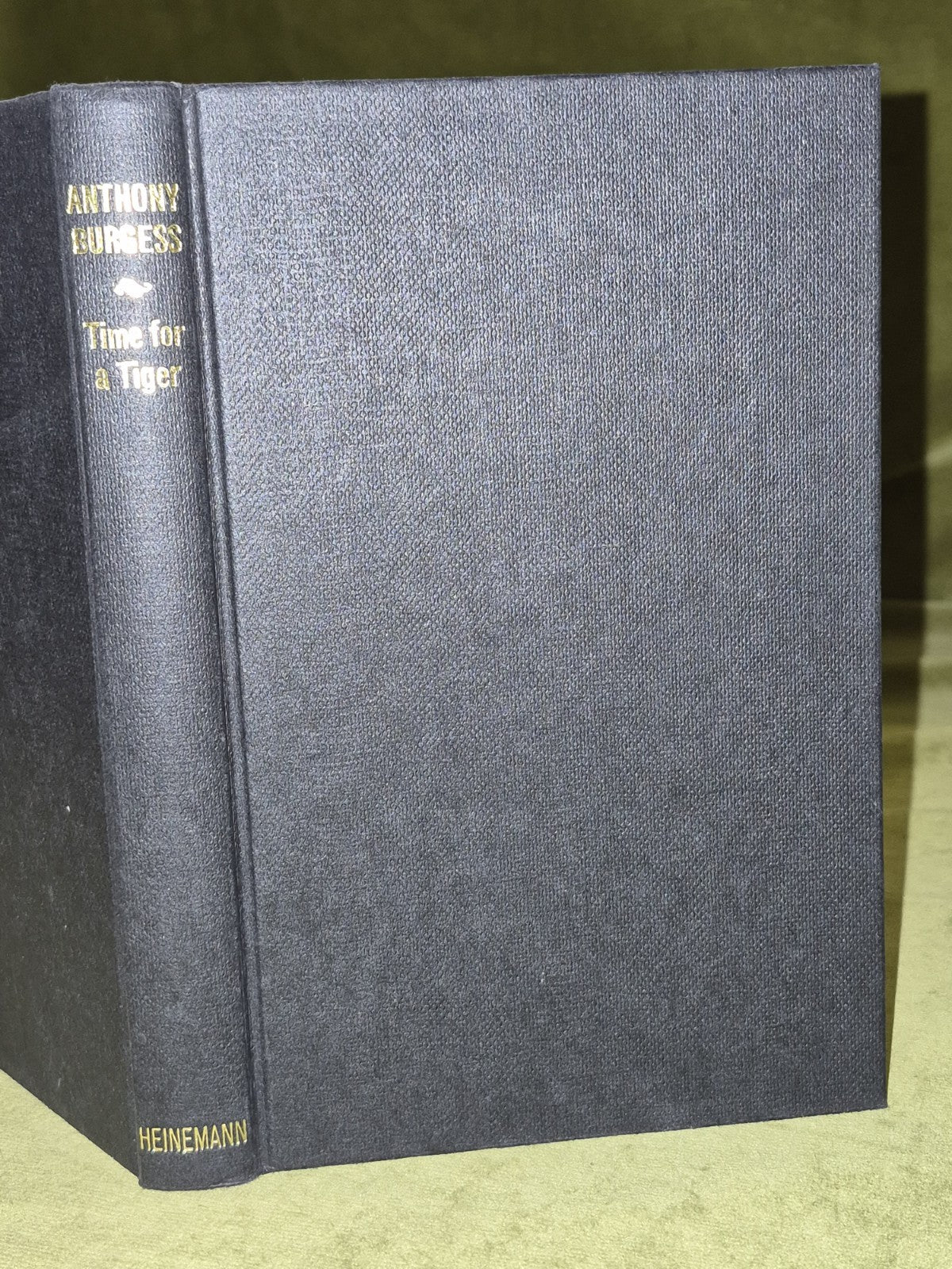 Anthony Burgess Time for a Tiger 19793